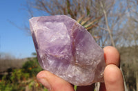 Natural Jacaranda Amethyst Crystals x 12 From Mumbwa, Zambia