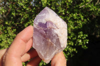 Natural Jacaranda Amethyst Crystals x 12 From Mumbwa, Zambia