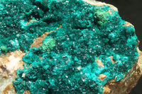 Natural Extra Large Dioptase Dolomite Specimen  x 1 From Congo