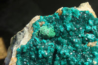 Natural Extra Large Dioptase Dolomite Specimen  x 1 From Congo