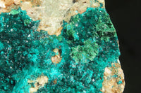 Natural Extra Large Dioptase Dolomite Specimen  x 1 From Congo