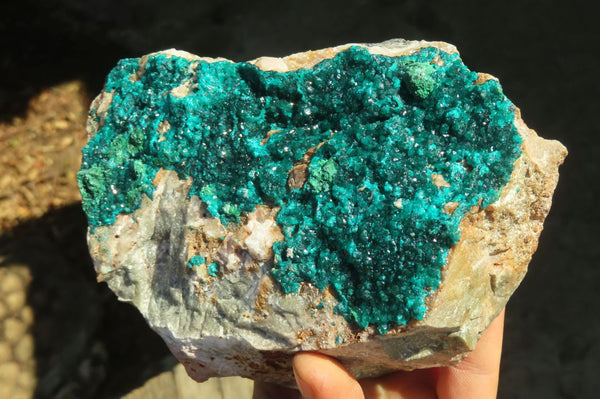 Natural Extra Large Dioptase Dolomite Specimen  x 1 From Congo