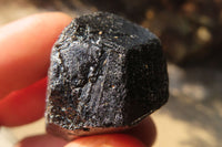 Natural Schorl Black Tourmaline Specimens  x 24 From Zimbabwe