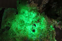 Natural Fluorescent Hyalite Opal Specimen  x 1 From Erongo, Namibia