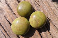 Polished Green Opal Galet / Palm Stones x 12 From Antsirabe, Madagascar