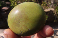 Polished Green Opal Galet / Palm Stones x 12 From Antsirabe, Madagascar