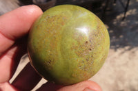 Polished Green Opal Galet / Palm Stones x 12 From Antsirabe, Madagascar