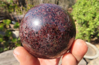 Polished Red Pyrope Garnet Spheres  x 2 From Madagascar