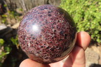 Polished Red Pyrope Garnet Spheres  x 2 From Madagascar