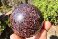 Polished Red Pyrope Garnet Spheres  x 2 From Madagascar