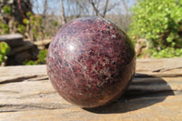 Polished Red Pyrope Garnet Spheres  x 2 From Madagascar