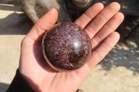 Polished Red Pyrope Garnet Spheres  x 2 From Madagascar