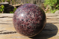 Polished Red Pyrope Garnet Spheres  x 2 From Madagascar