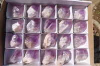 Polished Amethyst Crystals x 20 From Zambia