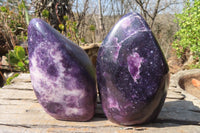 Polished Purple Lepidolite Standing Free Forms  x 2 From Zimbabwe