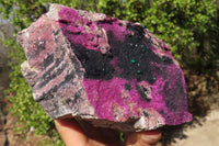 Natural XXL Pink Salrose Cobaltion Dolomite Specimen x 1 From Kakanda, Congo