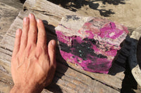 Natural XXL Pink Salrose Cobaltion Dolomite Specimen x 1 From Kakanda, Congo