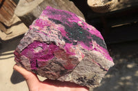 Natural XXL Pink Salrose Cobaltion Dolomite Specimen x 1 From Kakanda, Congo