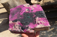 Natural XXL Pink Salrose Cobaltion Dolomite Specimen x 1 From Kakanda, Congo