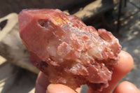 Natural Red Hematoid Quartz Specimens x 24 From Karoi, Zimbabwe