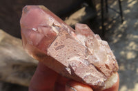 Natural Red Hematoid Quartz Specimens x 24 From Karoi, Zimbabwe