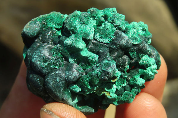 Natural Small Chatoyant Silky Malachite Specimens  x 20 From Kasompe, Congo