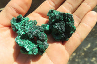 Natural Small Chatoyant Silky Malachite Specimens  x 20 From Kasompe, Congo