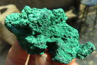 Natural Small Chatoyant Silky Malachite Specimens  x 20 From Kasompe, Congo