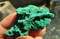 Natural Small Chatoyant Silky Malachite Specimens  x 20 From Kasompe, Congo