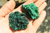 Natural Small Chatoyant Silky Malachite Specimens  x 20 From Kasompe, Congo