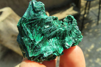 Natural Small Chatoyant Silky Malachite Specimens  x 20 From Kasompe, Congo