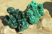 Natural Small Chatoyant Silky Malachite Specimens  x 20 From Kasompe, Congo