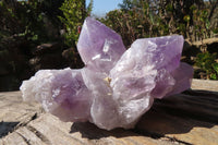 Natural Jacaranda Amethyst Clusters x 2 From Mumbwe, Zambia