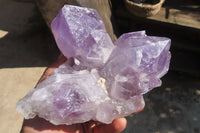 Natural Jacaranda Amethyst Clusters x 2 From Mumbwe, Zambia