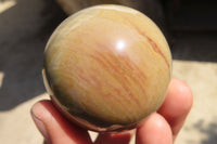 Polished Polychrome Jasper Spheres  x 6 From Mahajanga, Madagascar