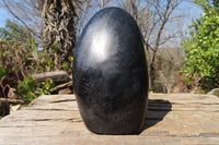 Polished Schorl Black Tourmaline Standing Free Forms x 2 From Madagascar