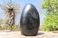 Polished Schorl Black Tourmaline Standing Free Forms x 2 From Madagascar