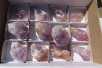 Natural Jacaranda Amethyst Crystals x 12 From Mumbwa, Zambia