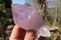 Natural Jacaranda Amethyst Crystals x 12 From Mumbwa, Zambia