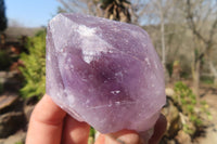 Natural Jacaranda Amethyst Crystals x 12 From Mumbwa, Zambia