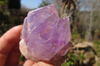 Natural Jacaranda Amethyst Crystals x 12 From Mumbwa, Zambia