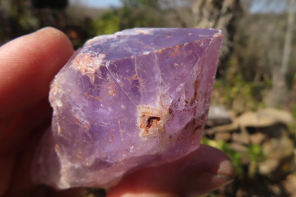 Natural Jacaranda Amethyst Crystals x 12 From Mumbwa, Zambia