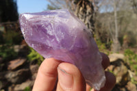 Natural Jacaranda Amethyst Crystals x 12 From Mumbwa, Zambia