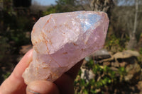 Natural Jacaranda Amethyst Crystals x 12 From Mumbwa, Zambia