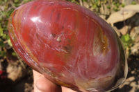 Polished Red Podocarpus Petrified Wood Standing Free Form x 1 From Mahajanga, Madagascar