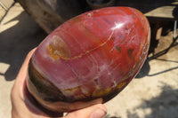 Polished Red Podocarpus Petrified Wood Standing Free Form x 1 From Mahajanga, Madagascar