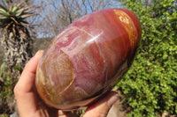 Polished Red Podocarpus Petrified Wood Standing Free Form x 1 From Mahajanga, Madagascar