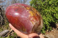 Polished Red Podocarpus Petrified Wood Standing Free Form x 1 From Mahajanga, Madagascar