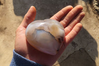 Polished Mixed Agate Hearts  x 6 From Madagascar