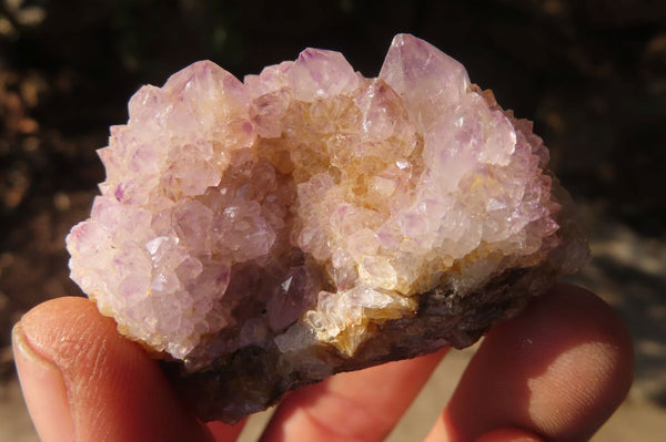 Natural Mixed Spirit Quartz Specimens x 6 From Southern Africa